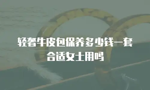 轻奢牛皮包保养多少钱一套合适女士用吗