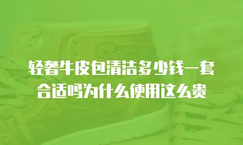轻奢牛皮包清洁多少钱一套合适吗为什么使用这么贵