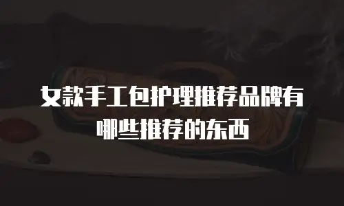 女款手工包护理推荐品牌有哪些推荐的东西