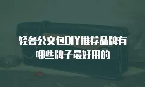轻奢公文包DIY推荐品牌有哪些牌子最好用的