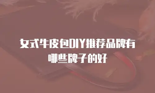 女式牛皮包DIY推荐品牌有哪些牌子的好