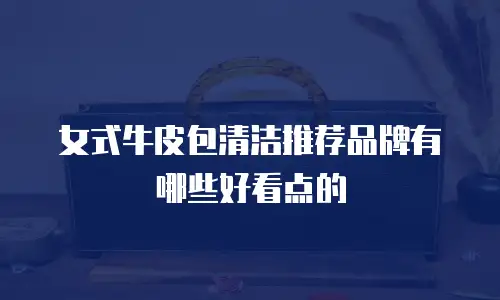 女式牛皮包清洁推荐品牌有哪些好看点的