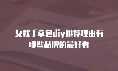 女款手拿包diy推荐理由有哪些品牌的最好看