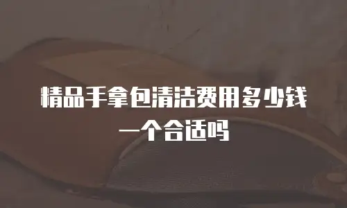 精品手拿包清洁费用多少钱一个合适吗