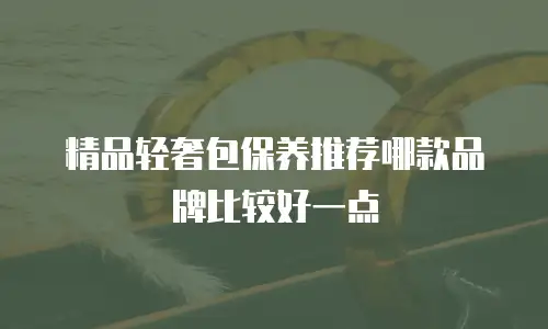精品轻奢包保养推荐哪款品牌比较好一点