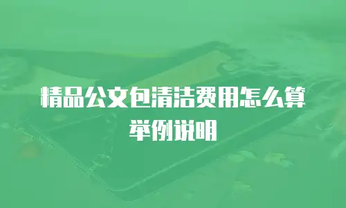 精品公文包清洁费用怎么算举例说明