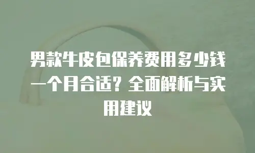 男款牛皮包保养费用多少钱一个月合适？全面解析与实用建议