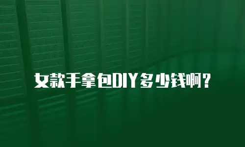 女款手拿包DIY多少钱啊？