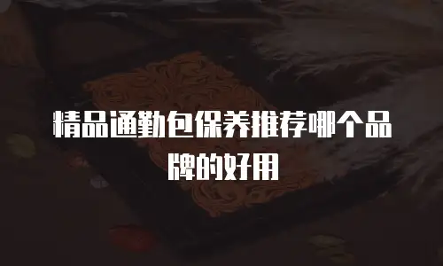 精品通勤包保养推荐哪个品牌的好用