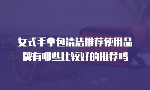 女式手拿包清洁推荐使用品牌有哪些比较好的推荐吗