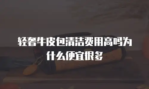 轻奢牛皮包清洁费用高吗为什么便宜很多