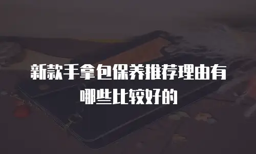 新款手拿包保养推荐理由有哪些比较好的