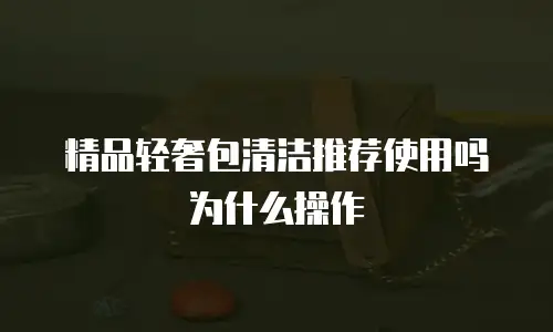 精品轻奢包清洁推荐使用吗为什么操作
