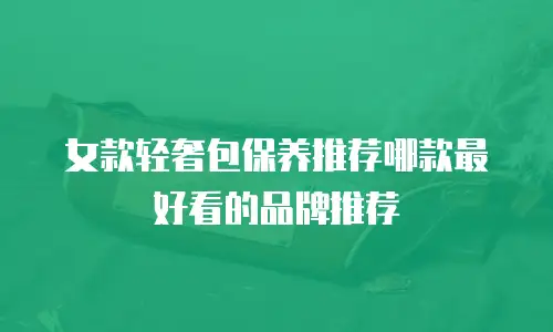 女款轻奢包保养推荐哪款最好看的品牌推荐