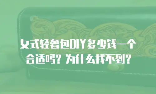 女式轻奢包DIY多少钱一个合适吗？为什么找不到？