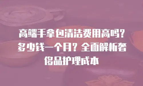 高端手拿包清洁费用高吗？多少钱一个月？全面解析奢侈品护理成本