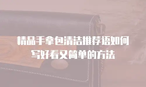 精品手拿包清洁推荐语如何写好看又简单的方法