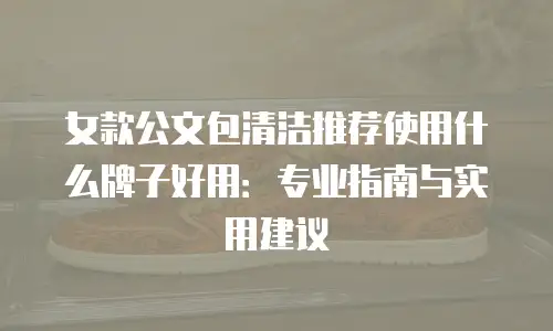 女款公文包清洁推荐使用什么牌子好用：专业指南与实用建议