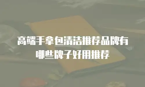 高端手拿包清洁推荐品牌有哪些牌子好用推荐
