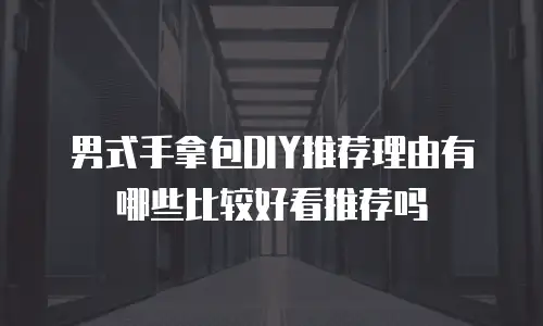 男式手拿包DIY推荐理由有哪些比较好看推荐吗