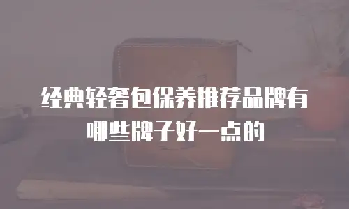 经典轻奢包保养推荐品牌有哪些牌子好一点的