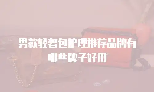 男款轻奢包护理推荐品牌有哪些牌子好用