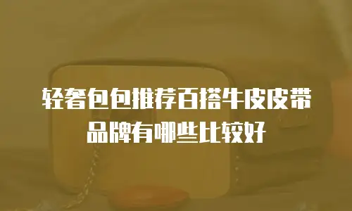 轻奢包包推荐百搭牛皮皮带品牌有哪些比较好
