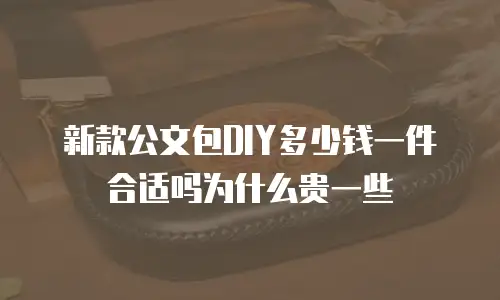 新款公文包DIY多少钱一件合适吗为什么贵一些