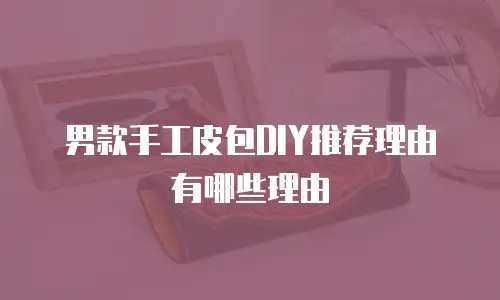 男款手工皮包DIY推荐理由有哪些理由