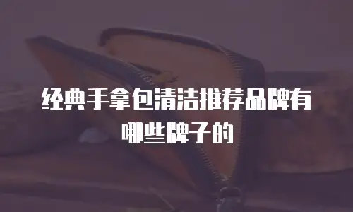 经典手拿包清洁推荐品牌有哪些牌子的
