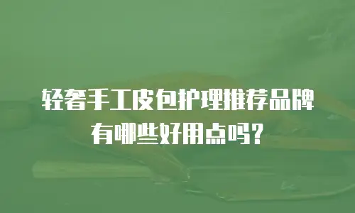 轻奢手工皮包护理推荐品牌有哪些好用点吗？