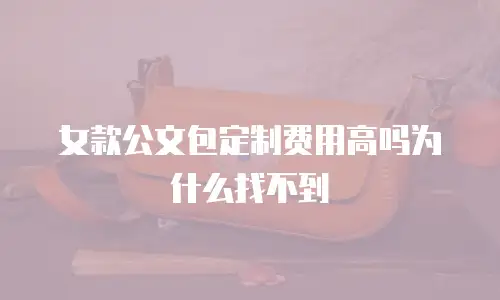女款公文包定制费用高吗为什么找不到