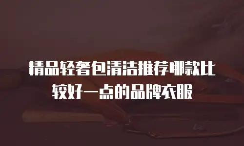 精品轻奢包清洁推荐哪款比较好一点的品牌衣服