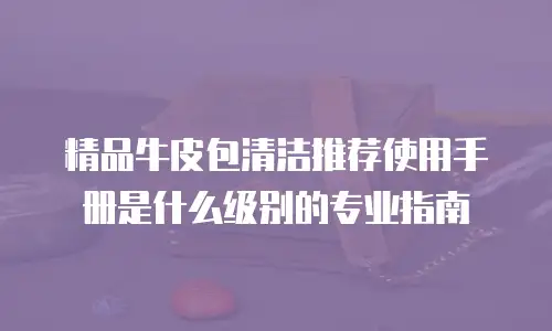 精品牛皮包清洁推荐使用手册是什么级别的专业指南