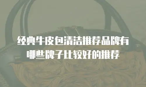 经典牛皮包清洁推荐品牌有哪些牌子比较好的推荐