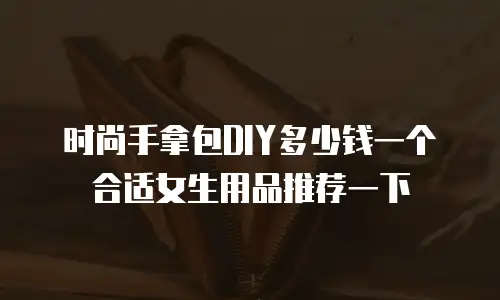 时尚手拿包DIY多少钱一个合适女生用品推荐一下