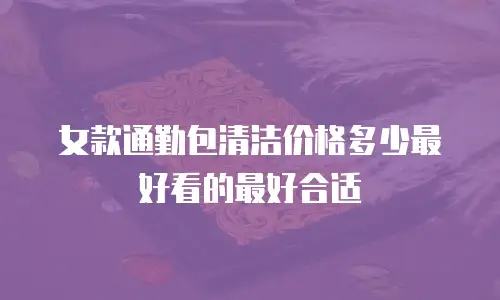 女款通勤包清洁价格多少最好看的最好合适