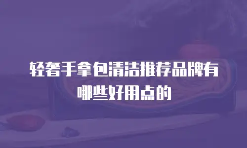 轻奢手拿包清洁推荐品牌有哪些好用点的