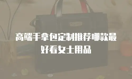 高端手拿包定制推荐哪款最好看女士用品