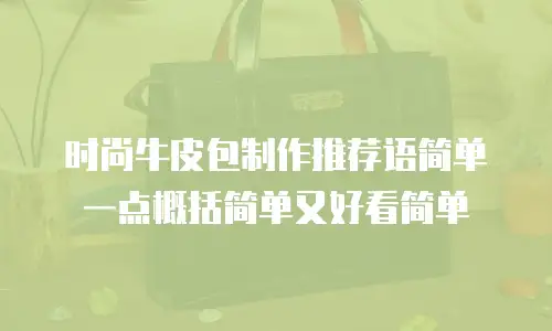 时尚牛皮包制作推荐语简单一点概括简单又好看简单