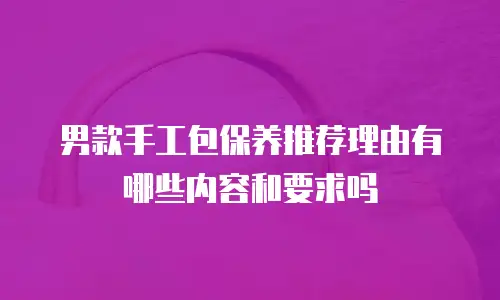 男款手工包保养推荐理由有哪些内容和要求吗