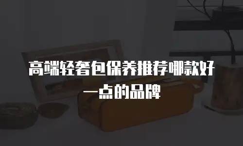 高端轻奢包保养推荐哪款好一点的品牌