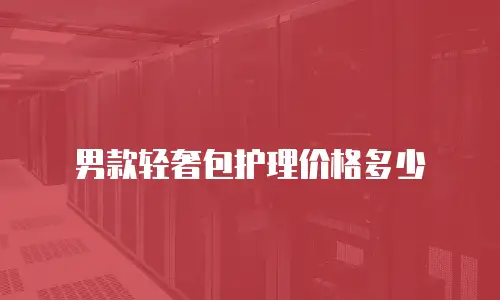 男款轻奢包护理价格多少