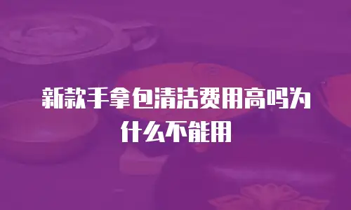 新款手拿包清洁费用高吗为什么不能用
