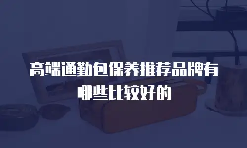 高端通勤包保养推荐品牌有哪些比较好的