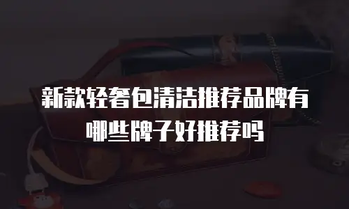 新款轻奢包清洁推荐品牌有哪些牌子好推荐吗