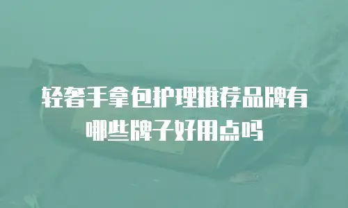 轻奢手拿包护理推荐品牌有哪些牌子好用点吗