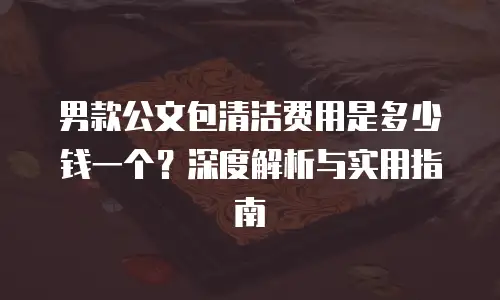 男款公文包清洁费用是多少钱一个？深度解析与实用指南