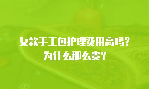 女款手工包护理费用高吗？为什么那么贵？