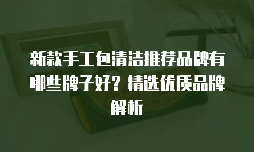 新款手工包清洁推荐品牌有哪些牌子好？精选优质品牌解析